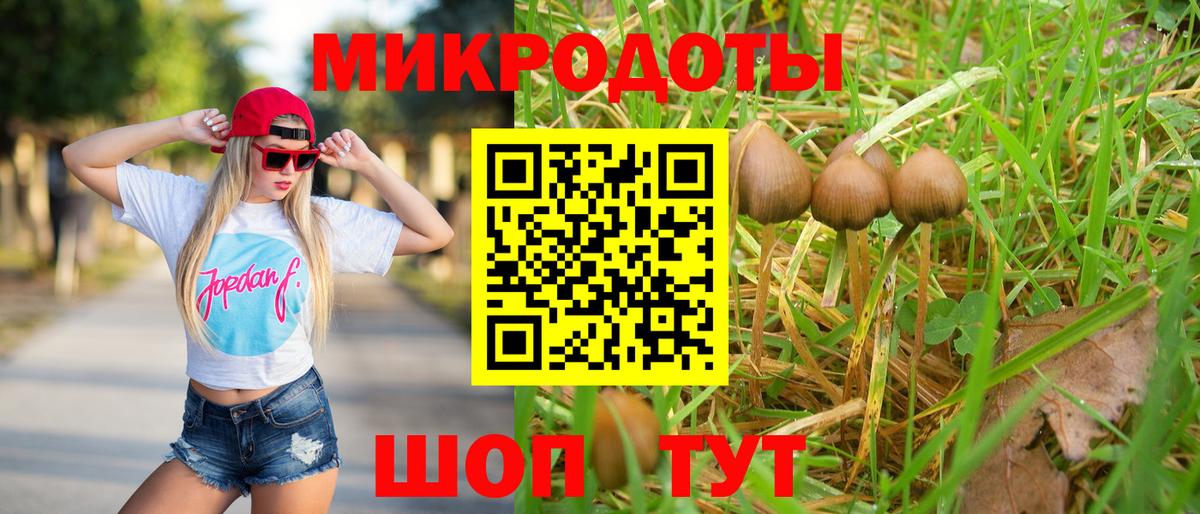 Псилоцибиновые грибы Psilocybe  Вход с VPN  Ноябрьск 