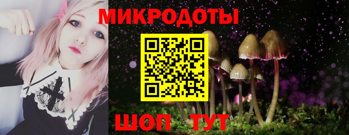 Галлюциногенные грибы прущие грибы Ноябрьск